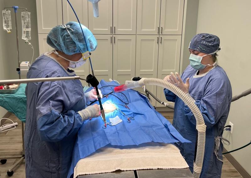 Carousel Slide 7: Surgery