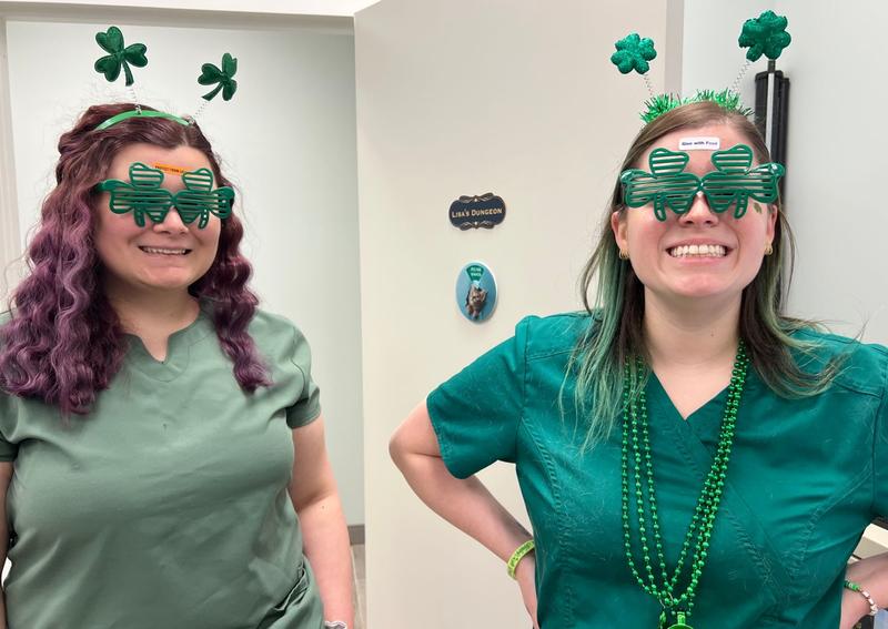 Carousel Slide 8: St Paddys