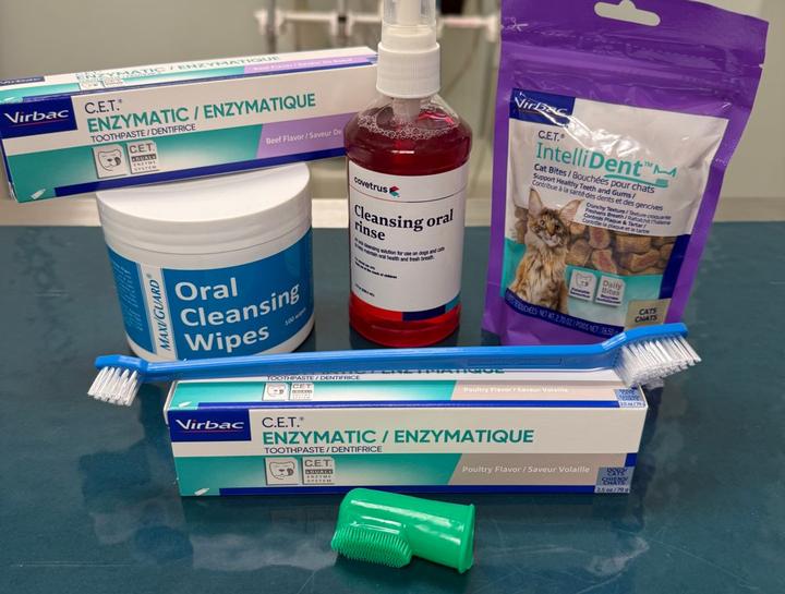 Preventive Dental Care