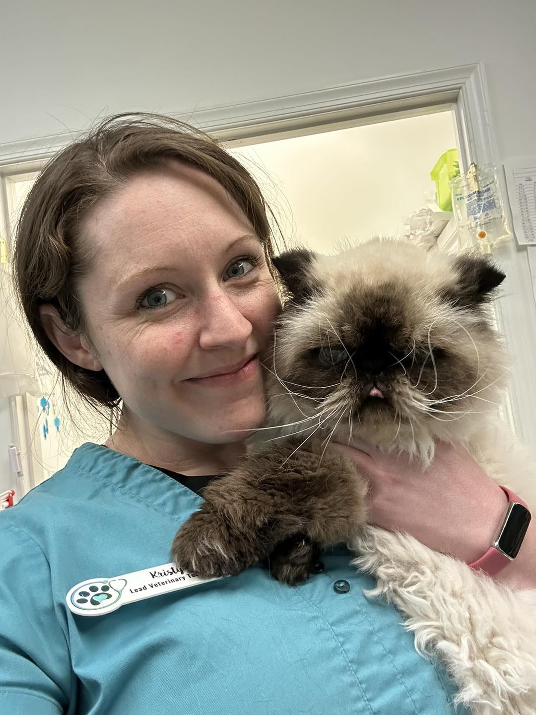 $City Vet Care