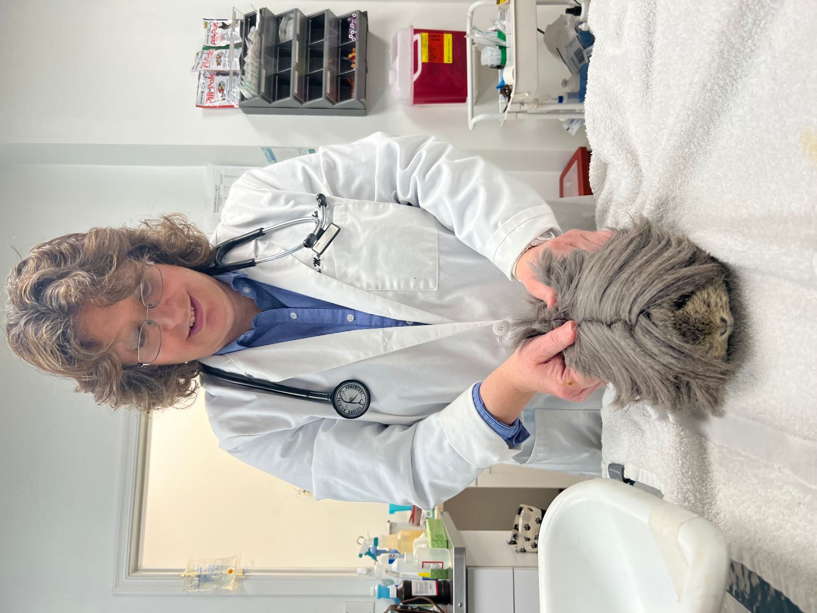 $City Small Animal Veterinarian